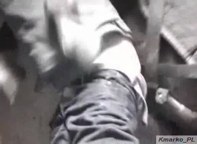 Video :Animal porno with gay and horse